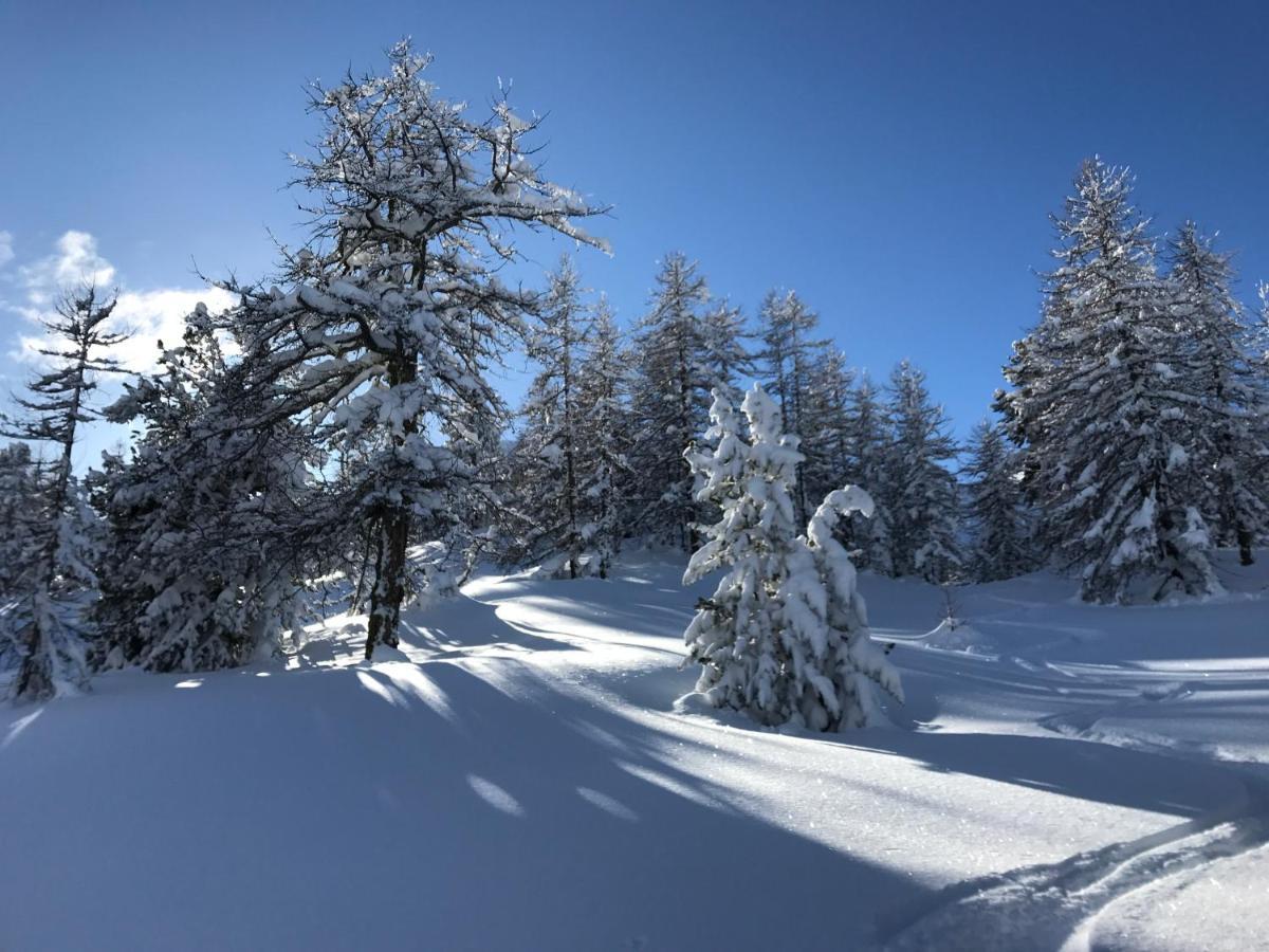 L'Etesy, Pied Des Pistes Et Spa 蒙热内夫尔 外观 照片
