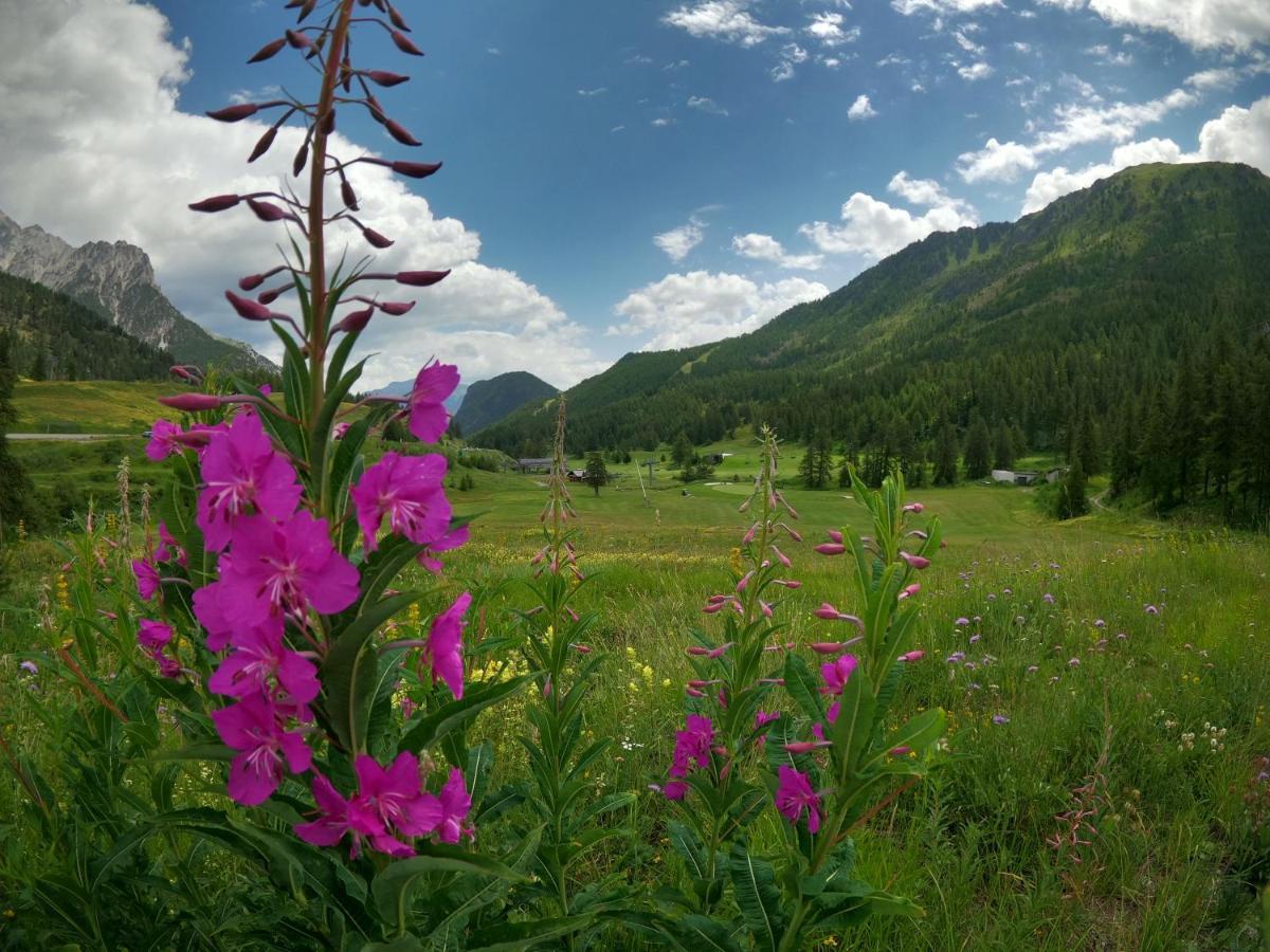 L'Etesy, Pied Des Pistes Et Spa 蒙热内夫尔 外观 照片