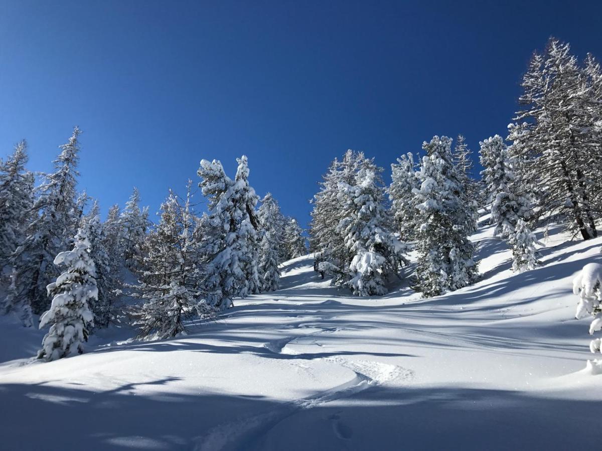 L'Etesy, Pied Des Pistes Et Spa 蒙热内夫尔 外观 照片